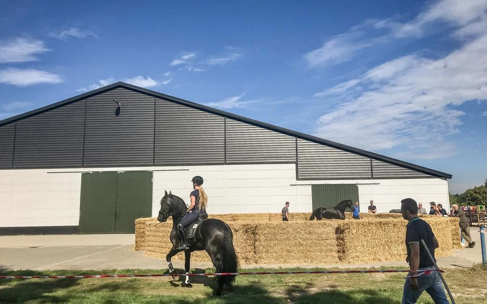 62.5kW215kWh FLEX 215 2