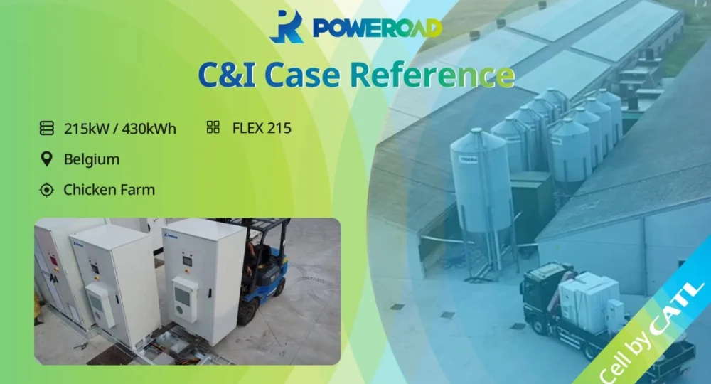 Empowering a Sustainable Future at a Belgian Chicken Farm